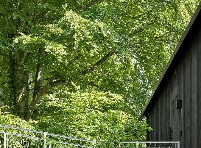 Hutstuf The Eagle & Private Outdoor * La-Roche-en-Ardenne